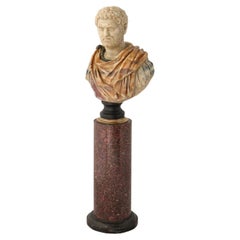 XIXth Century Grand Tour Bust of Caracalla and Its Porphyry Column