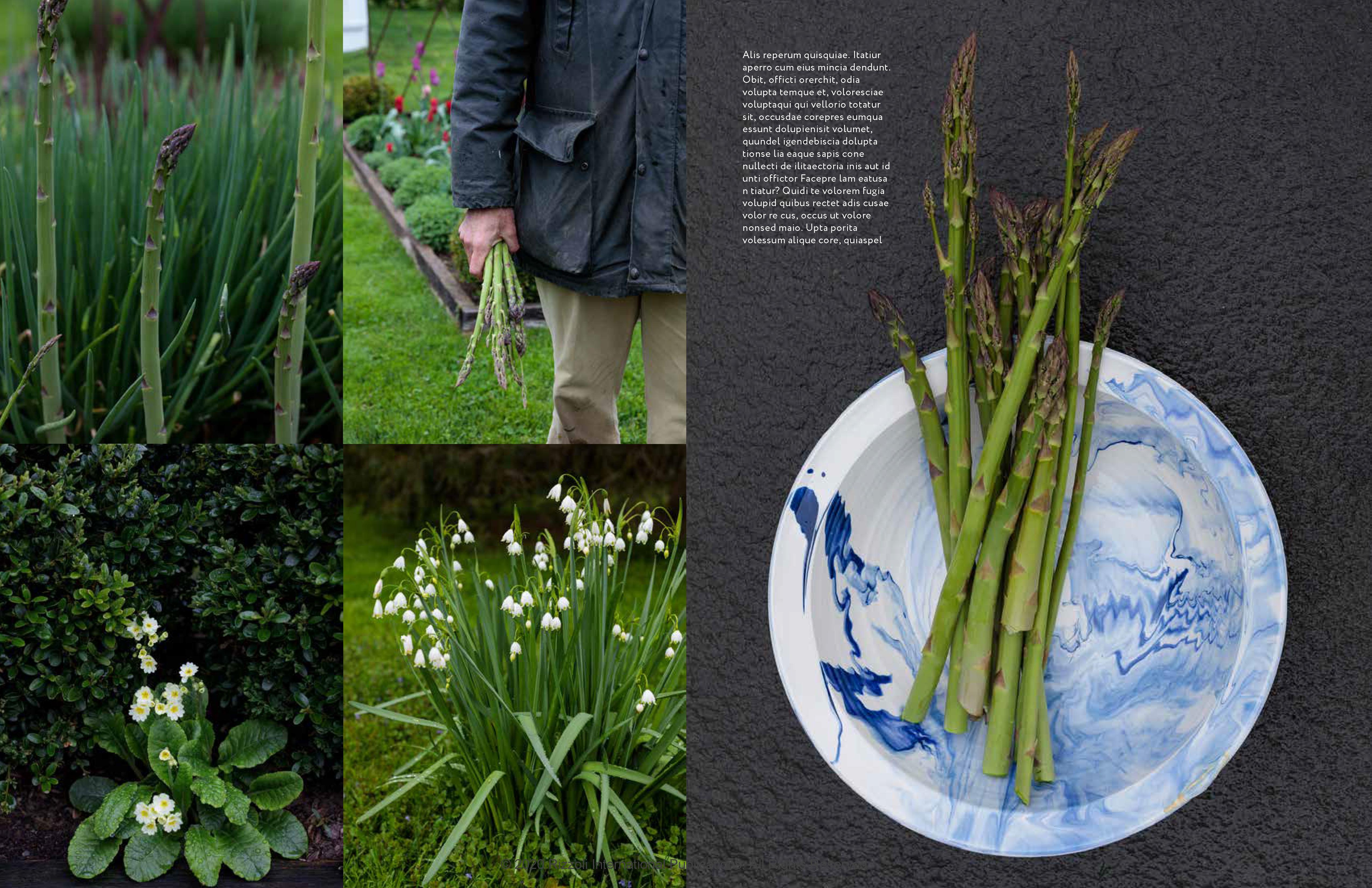 A Year at Clove Brook Farm: Gardening, Tending Flocks, Keeping Bees, Collecting Antiques, and Entertaining Friends

Author Christopher Spitzmiller, Foreword by Martha Stewart
Welcome to a year of sustainable living with renowned ceramicist