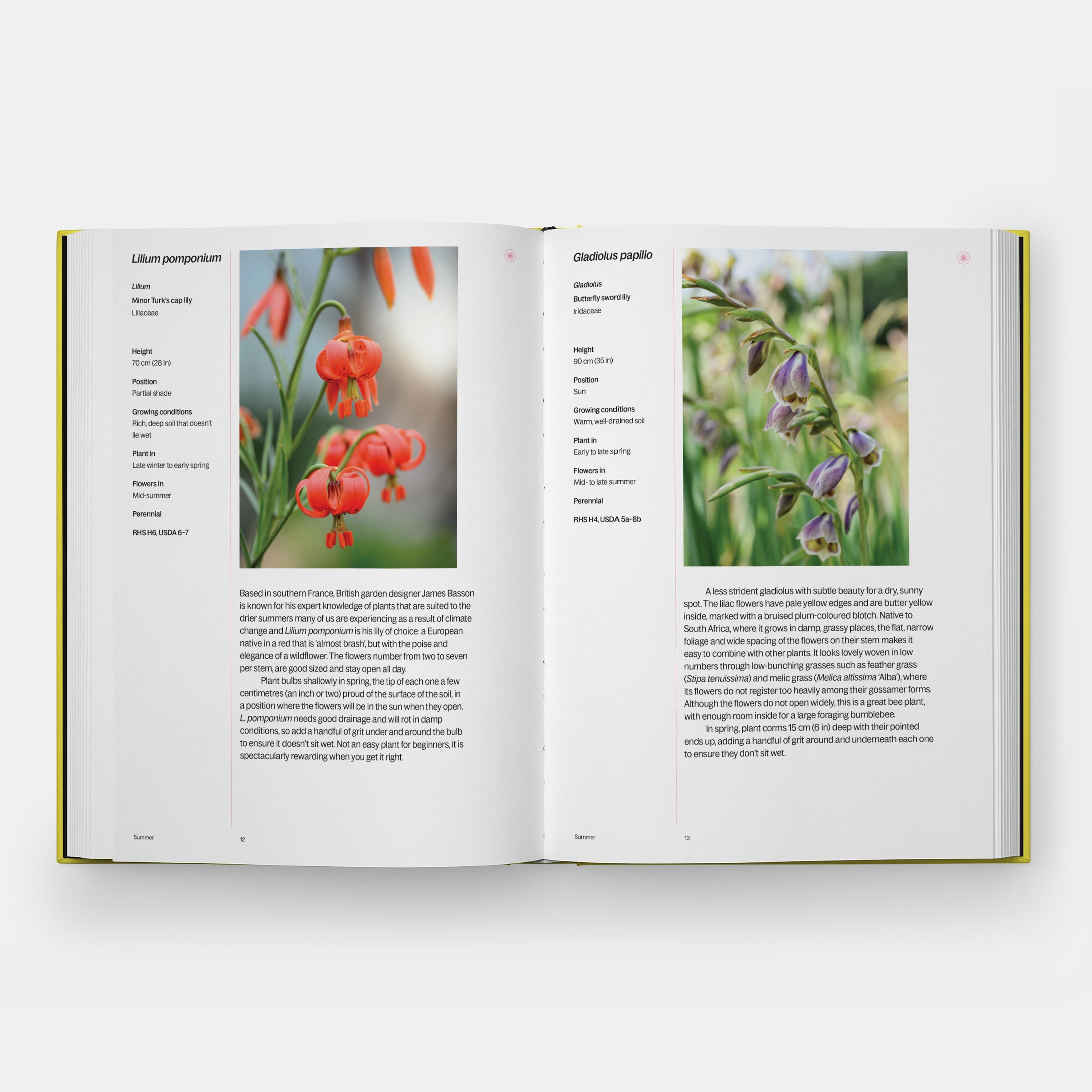 Contemporary A Year in Bloom Flowering Bulbs for Every Season For Sale