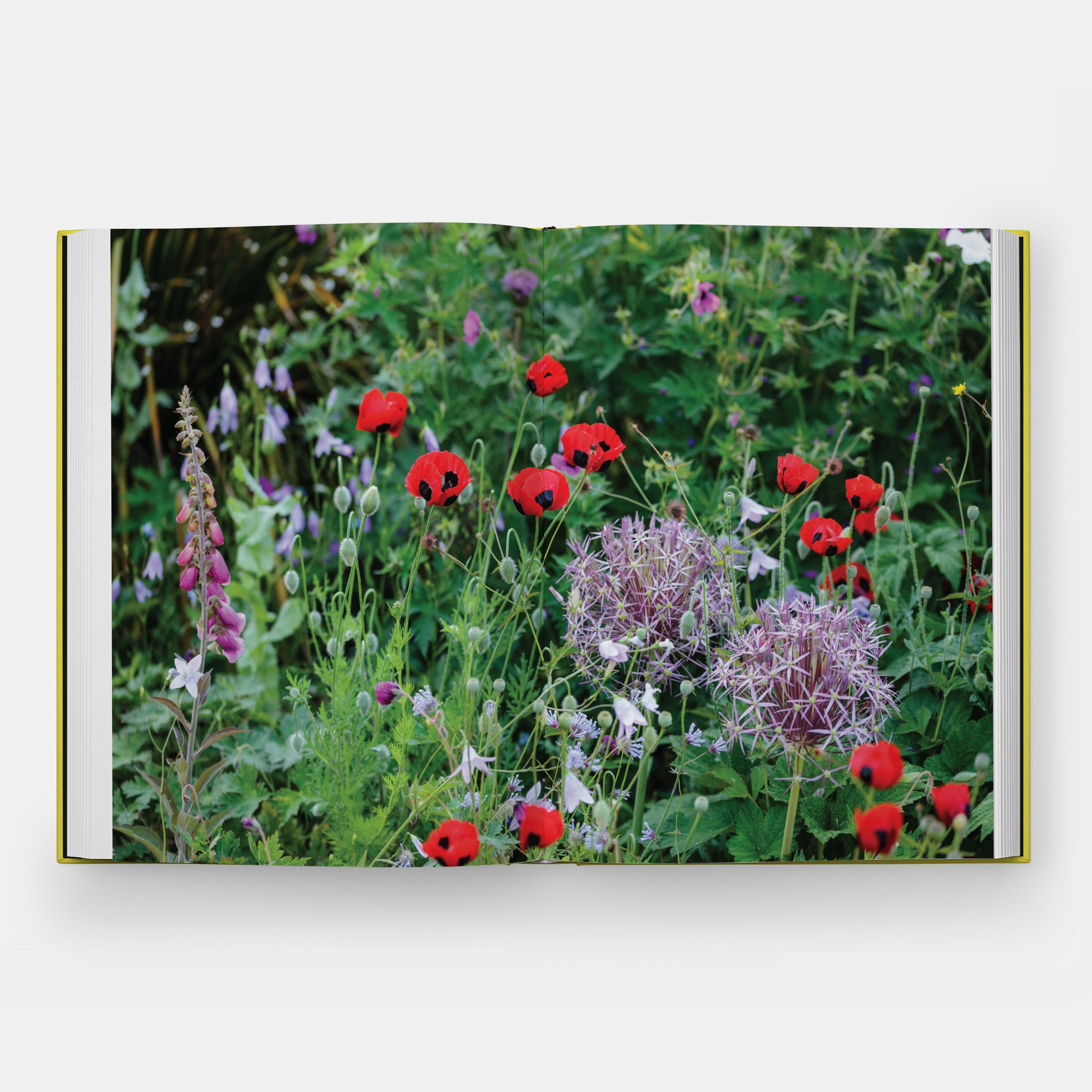 Paper A Year in Bloom Flowering Bulbs for Every Season For Sale