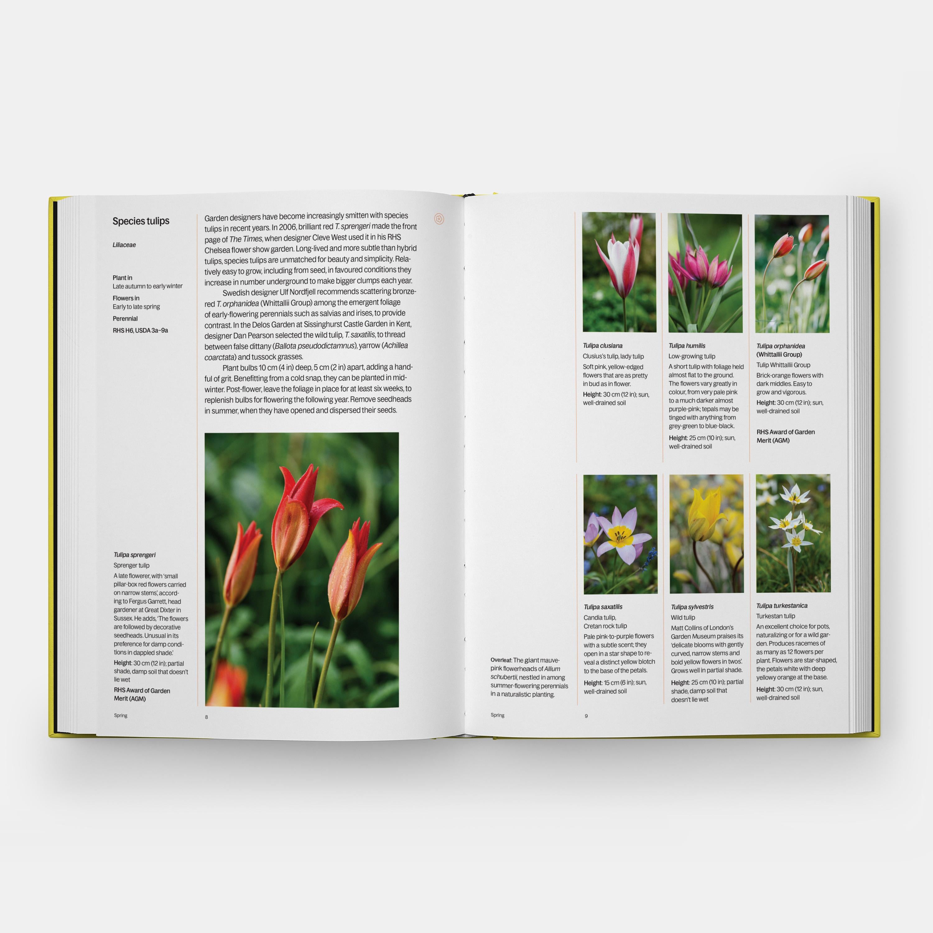 A Year in Bloom Flowering Bulbs for Every Season For Sale 1
