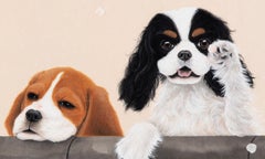 One Day In The Spring