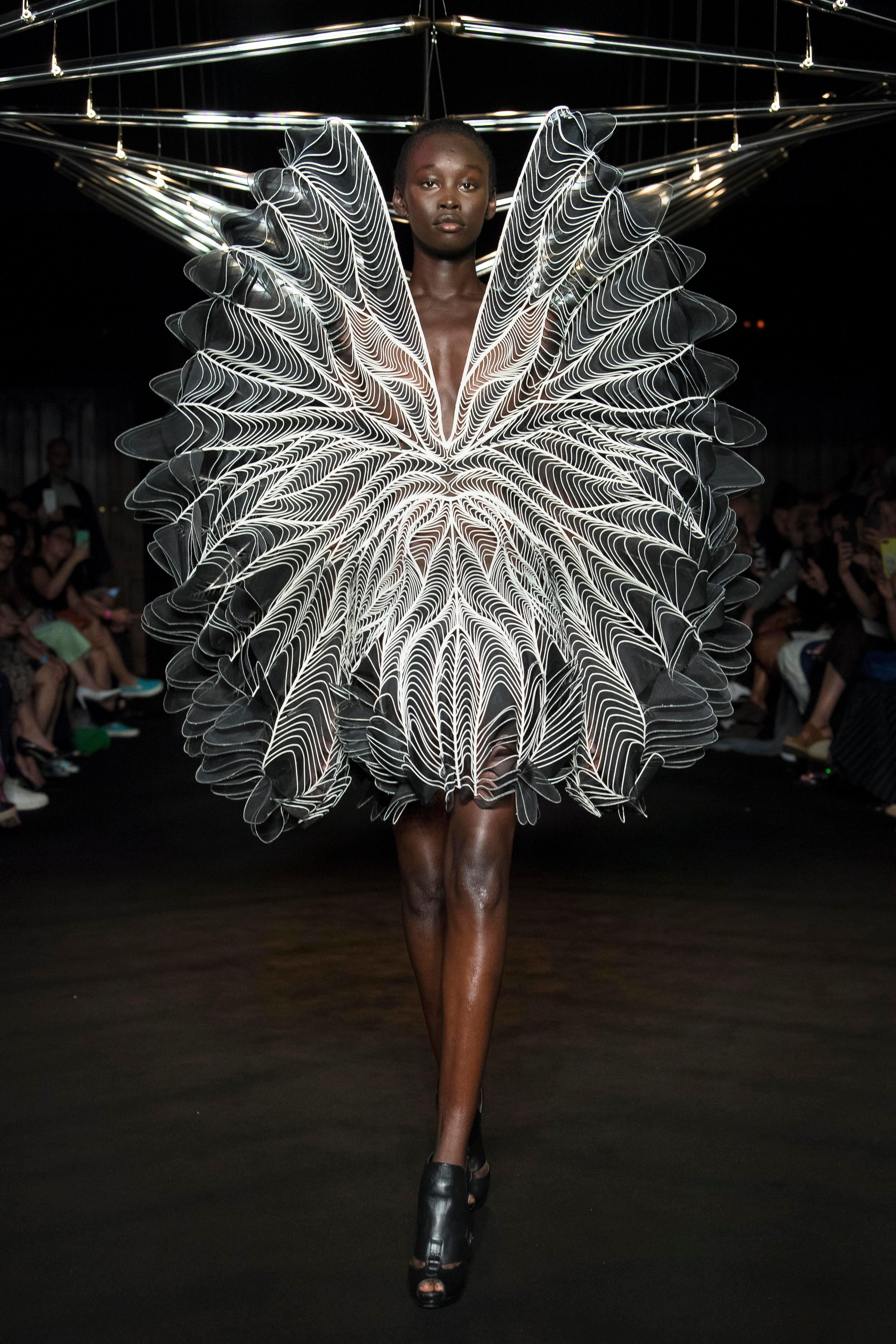 Syntopia - Mixed Media Art by Iris van Herpen