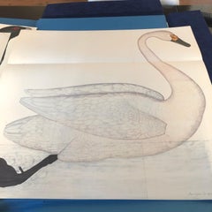 Rudbeck Birds - Limited First Edition Portfolio - #482 of 1499 portfolios