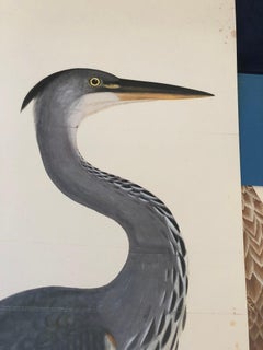 Rudbeck HERON - Limited First Edition Portfolio - #482 of 1499 portfolios