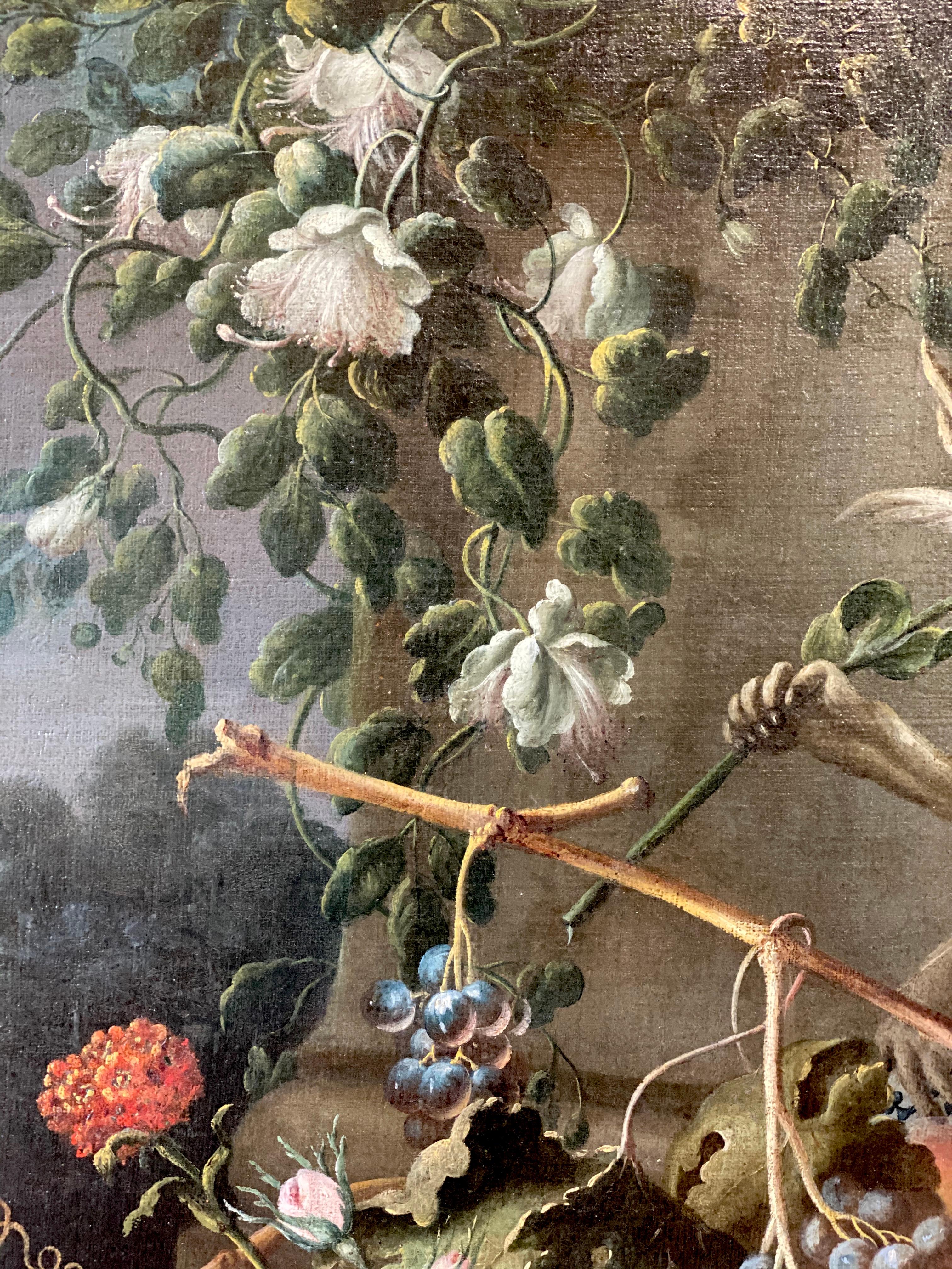 Exceptional Italian 18th Century Still-Life Paintings by Felice Rubbiani 8