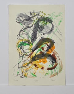 Danish Lithograph, signed and numbered, 1980s