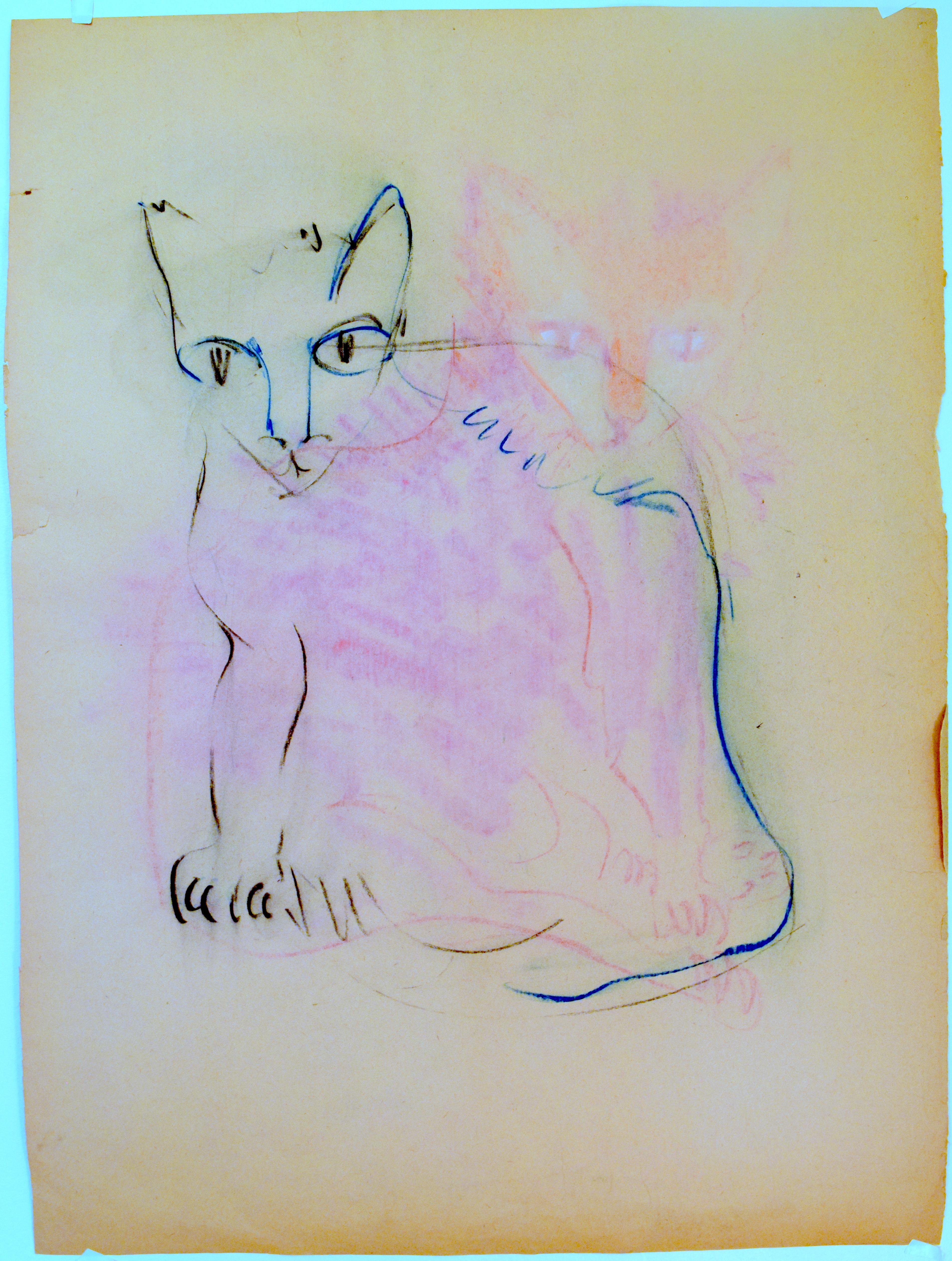 Cat IV Tao Art Drawing series by Miguel Angel Batalla (Chalk & Ink on Paper) For Sale 4