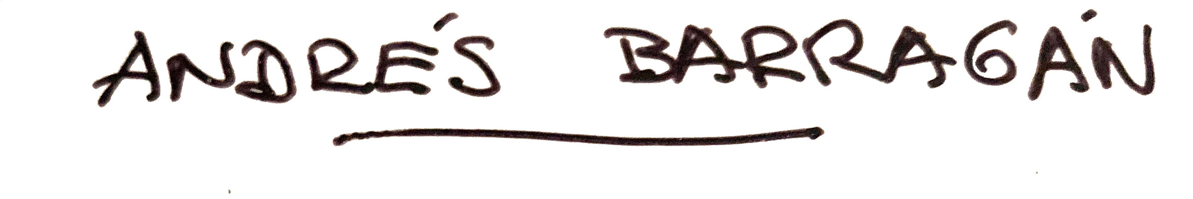 Celebrating Feminine Beauty by Andrés Barragán Photograph For Sale 3