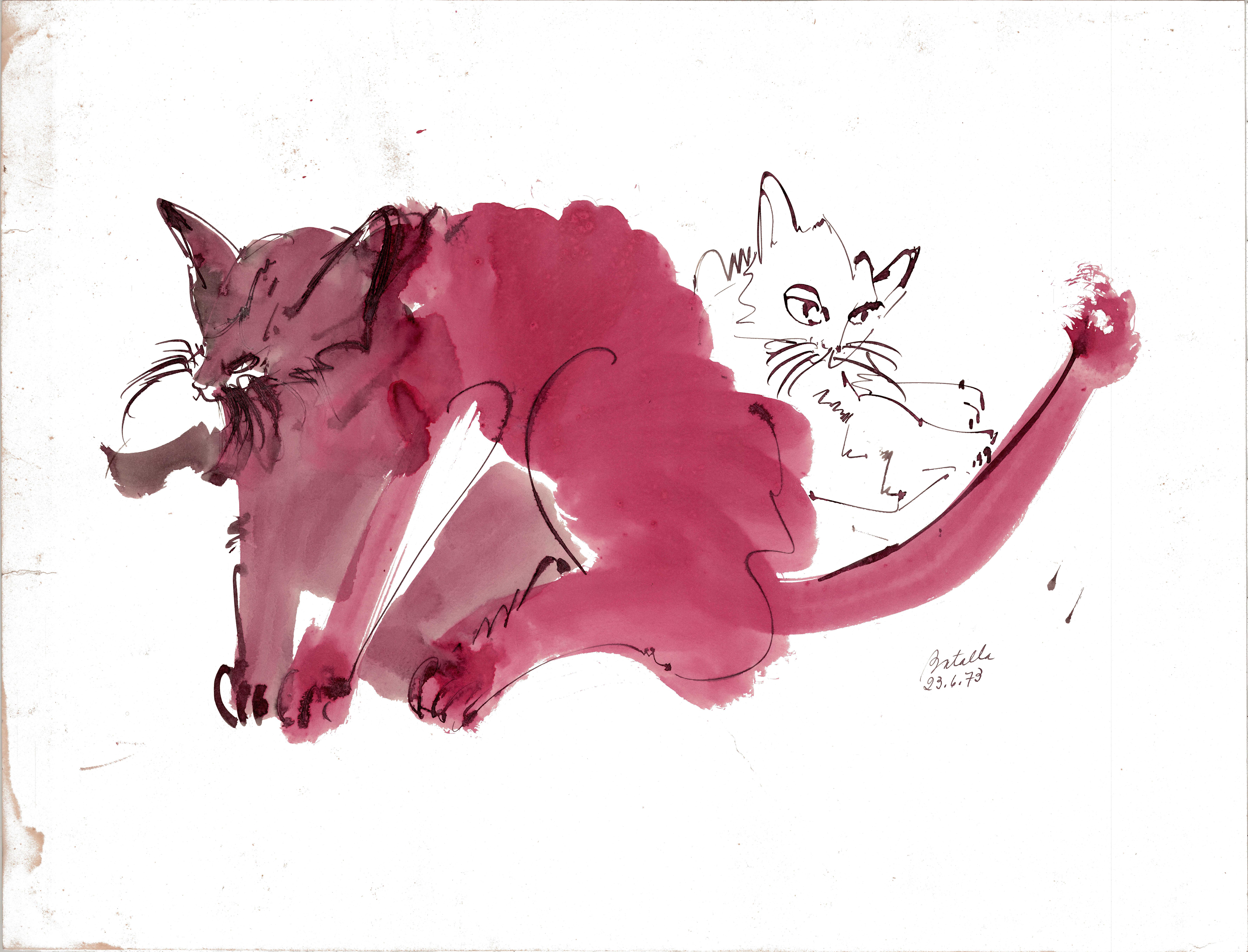 Miguel Angel Batalla Animal Art - Cat III Ink Drawing Series by Miguel Angel Battle Ink on Paper