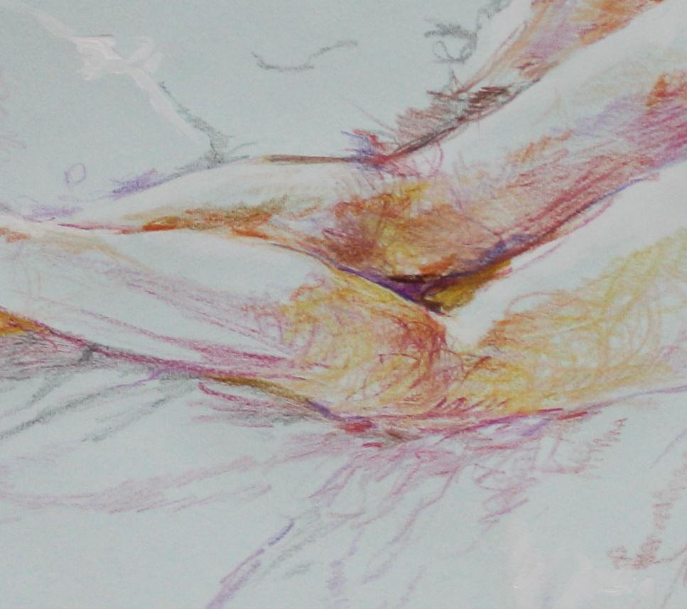 Dessin contemporain figuratif de femme nue au crayon sur papier par Leszek 'Maestro' Zegalski.  L'œuvre d'art représente une femme allongée sur le ventre sur un lit, ses cheveux sont longs. Ce dessin est assez dynamique, à l'image de la gaine de