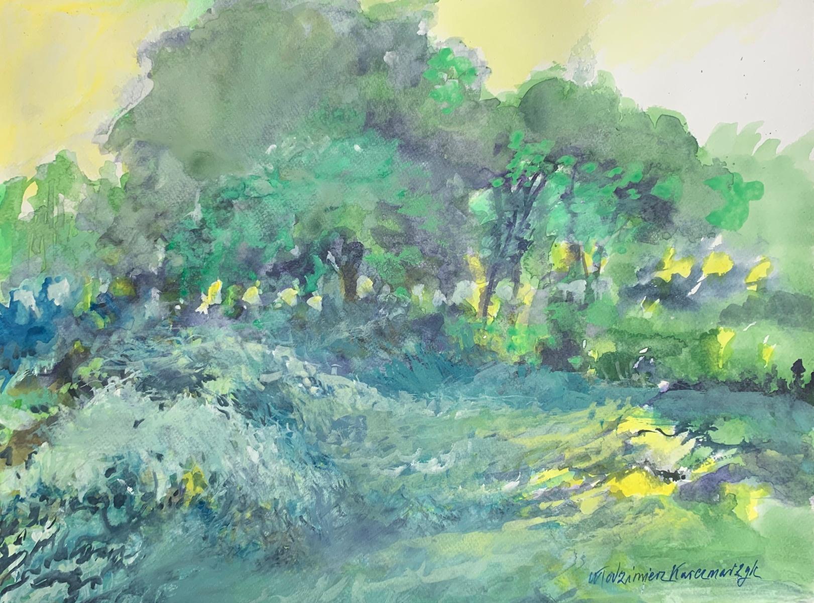 Włodzimierz Karczmarzyk Landscape Art - Wild garden. Watercolor, Realistic, Landscape, Classic, Polish artist