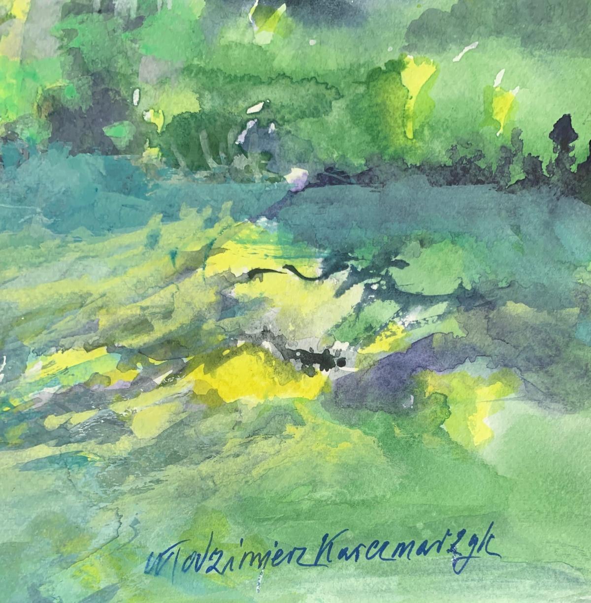 Wild garden. Watercolor, Realistic, Landscape, Classic, Polish artist - Other Art Style Art by Włodzimierz Karczmarzyk