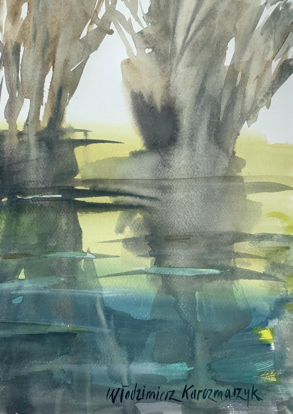 Agua forestal. Acuarela, Realista, Paisaje, Clásico, Artista polaco - Figurative Art Gris de Włodzimierz Karczmarzyk