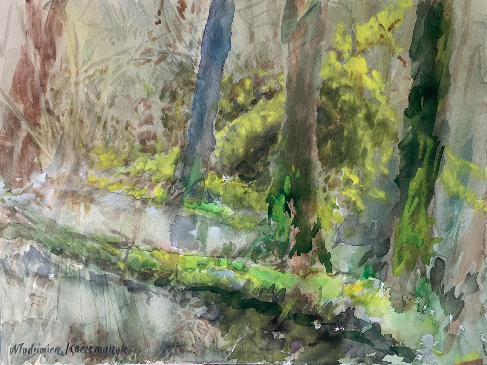 Włodzimierz Karczmarzyk Figurative Art – Ein Sumpf. Aquarell, Realistisch, Landschaft, Klassisch, Polnischer Künstler