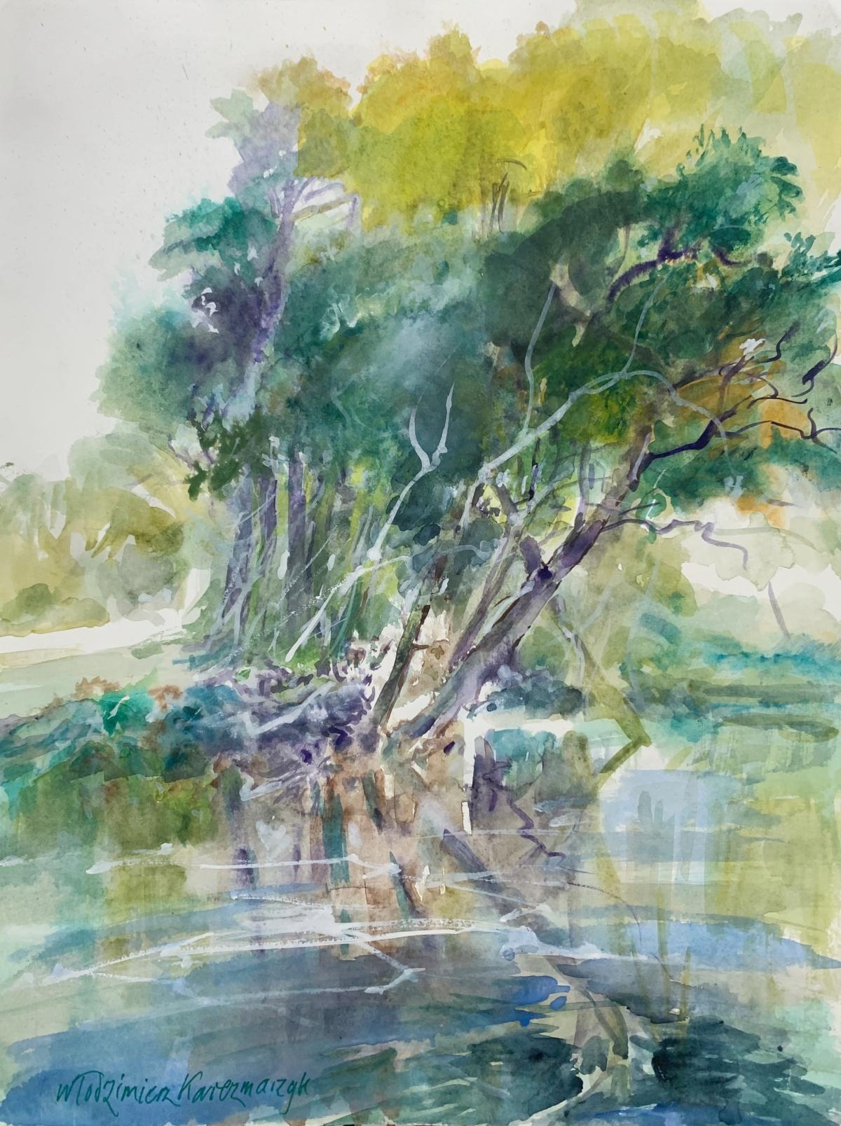 Landscape Art de Włodzimierz Karczmarzyk - Reflexionando... Acrílico sobre papel, Realista, Paisaje, Clásico, Artista polaco