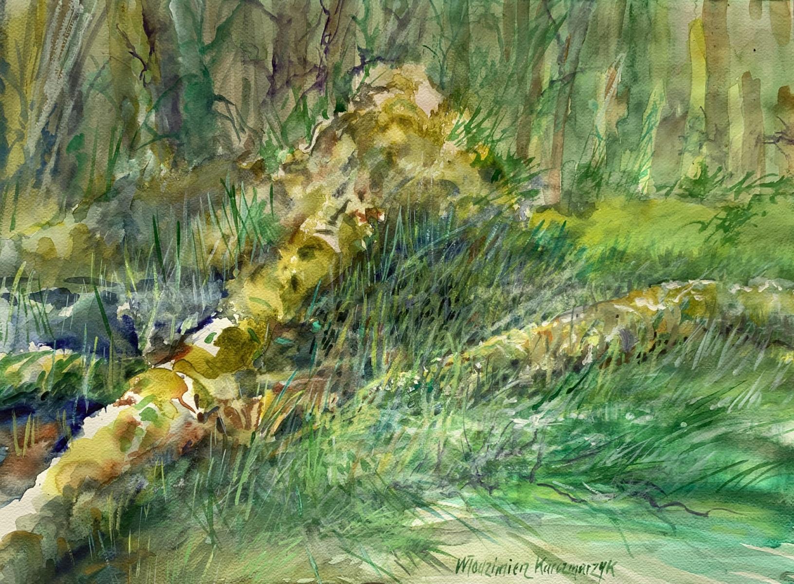 Périphérie forestière. Aquarelle sur papier, Paysage, Classic, Polish artist - Art de Włodzimierz Karczmarzyk