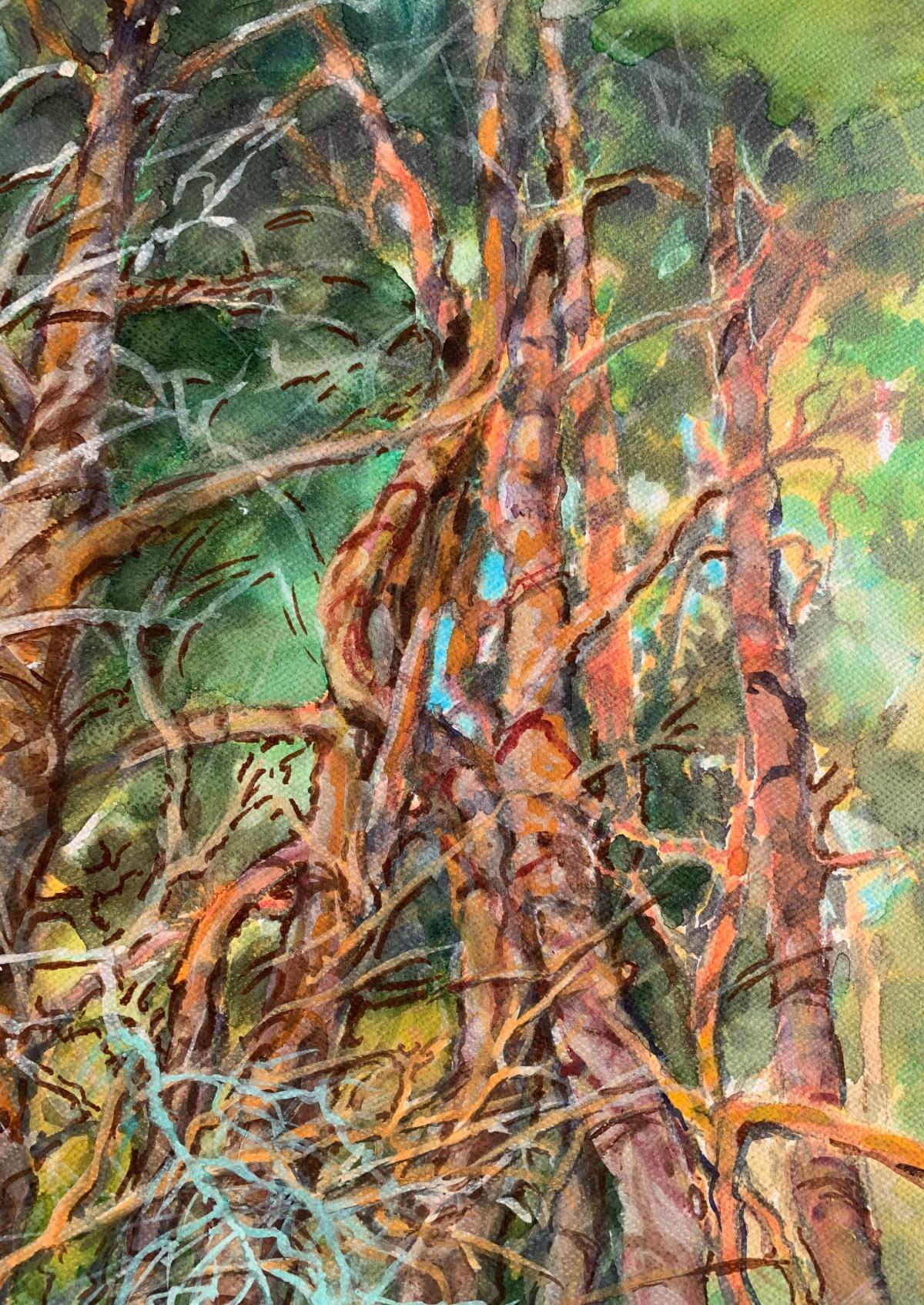 Family tangle. Watercolour on paper, Landscape, Classic, Polish artist - Art by Włodzimierz Karczmarzyk