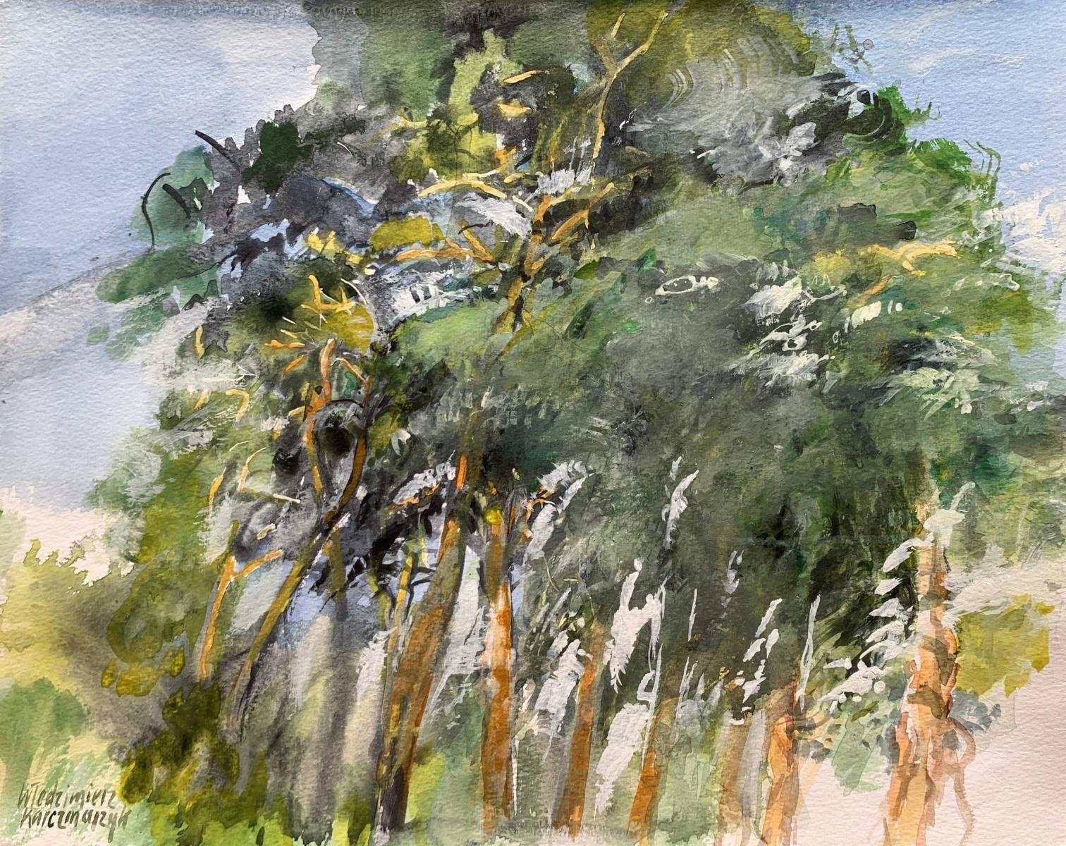 Sopra tutti i pini. Acquerello, tempera su carta, Paesaggio, Classico, Arte polacca