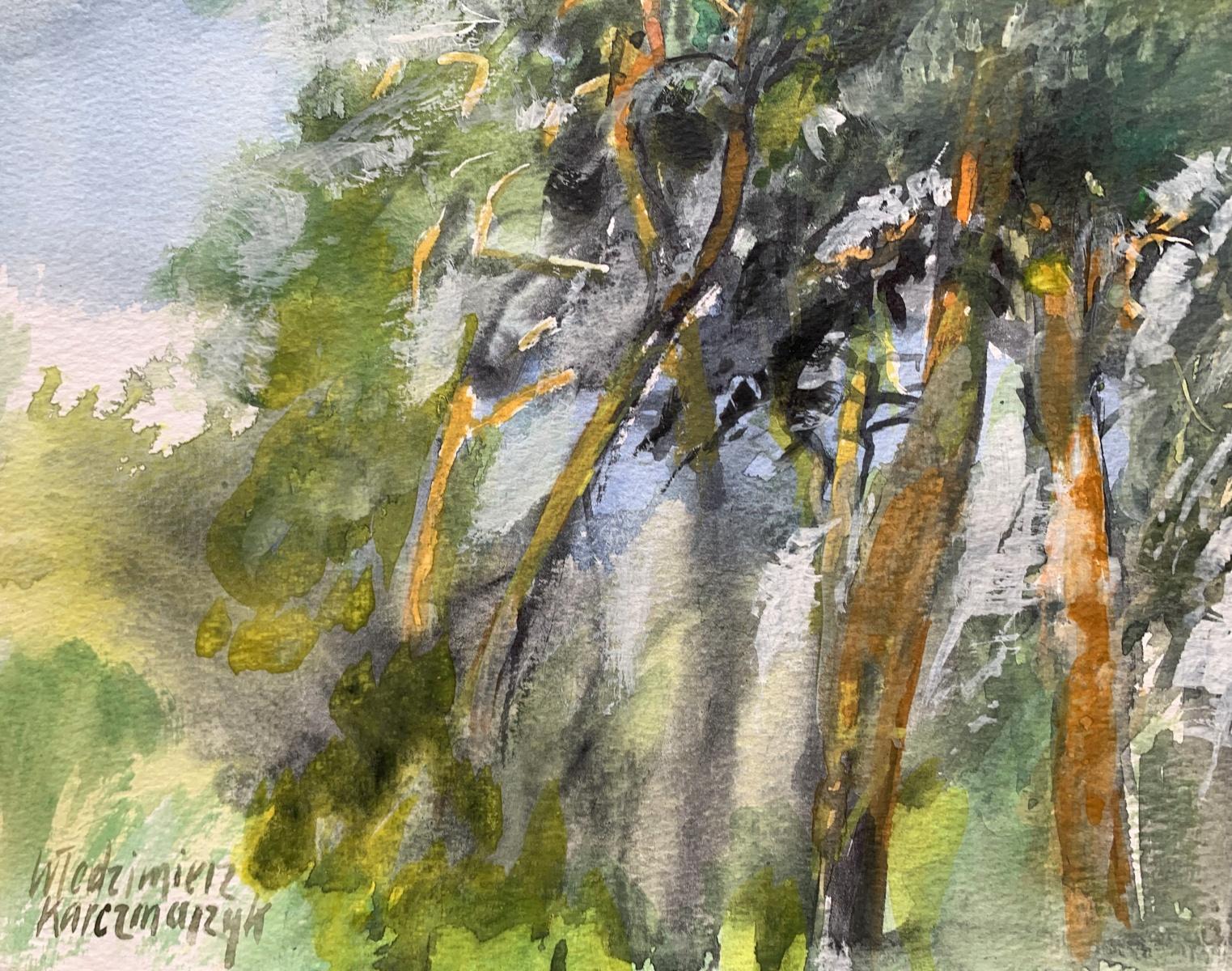 Au-dessus de tous les pins. Aquarelle, tempera sur papier, Paysage, Classic, Polish art - Autres styles artistiques Art par Włodzimierz Karczmarzyk