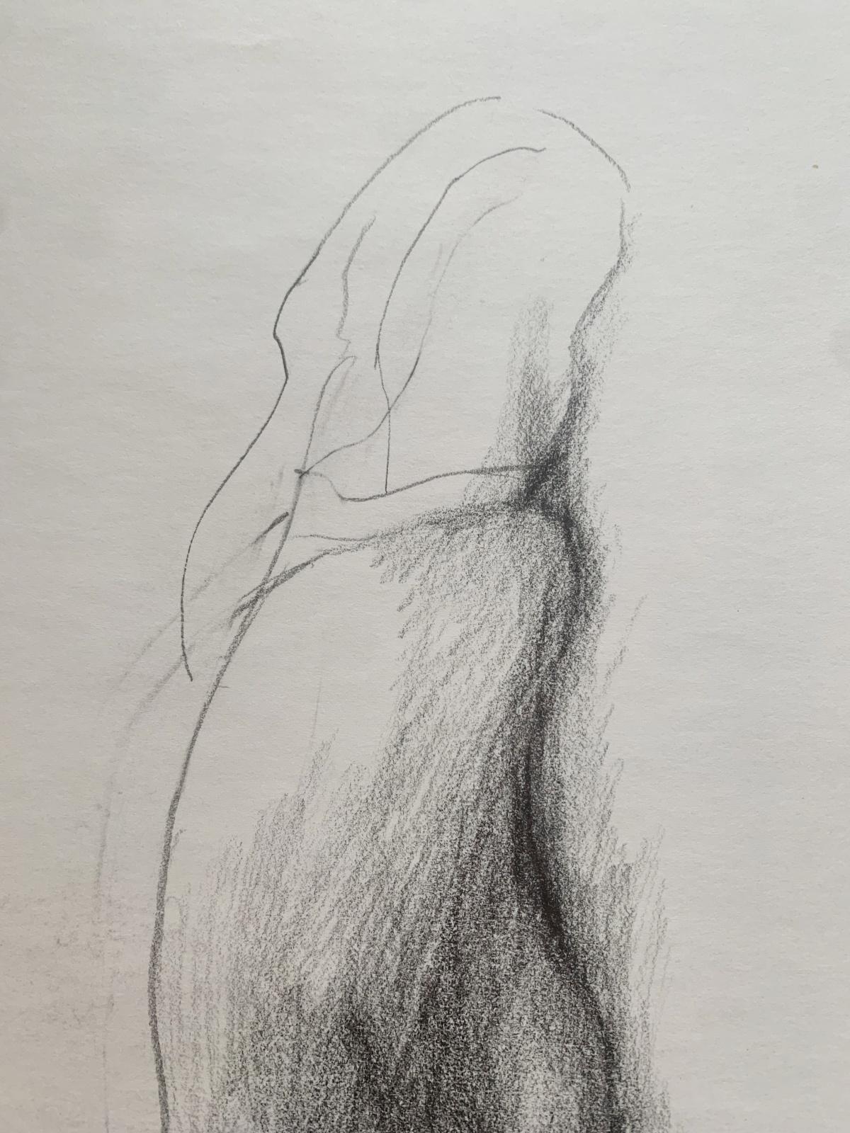 A nude. Pencil drawing, Minimalistic, Figurative, Monochromatic, Polish artist - Art by Antoni Janusz Pastwa