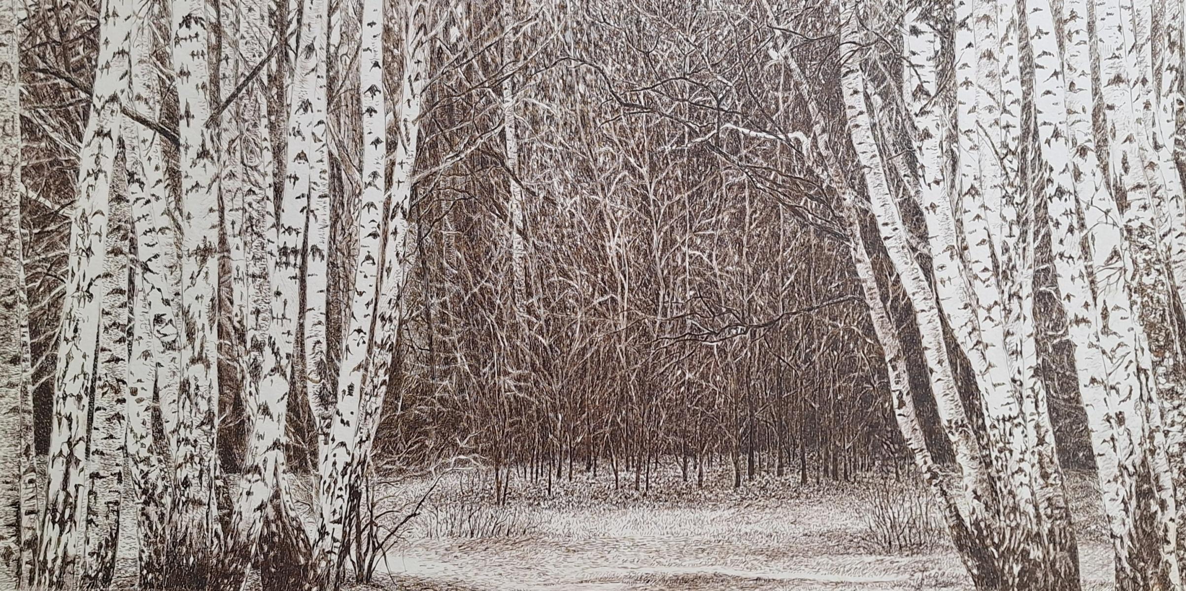 Kabacki-Wald. Figurativer Druck, Landschaft, Realistisch, Polnischer Künstler