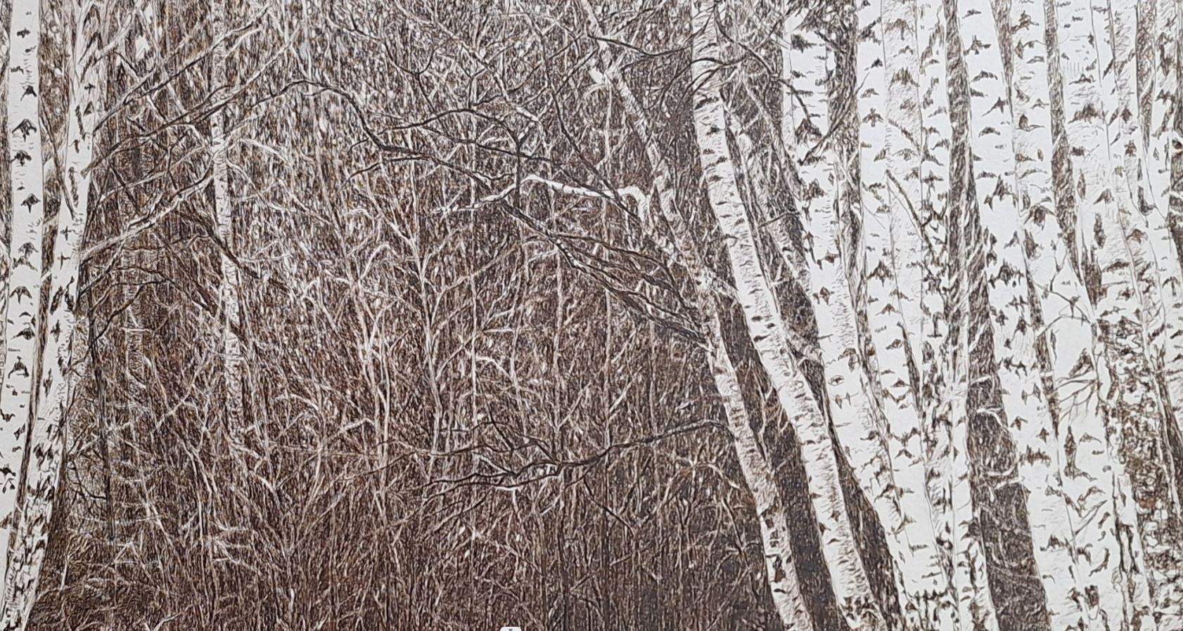 Dibujo contemporáneo a tinta de la artista polaca Elżbieta Siegoczyńska. La obra representa el bosque de Kabacki, situado en el distrito de Kabaty, en Varsovia.

ELŻBIETA SIEGOCZYŃSKA es una pintora polaca que estudió pintura en la Academia de