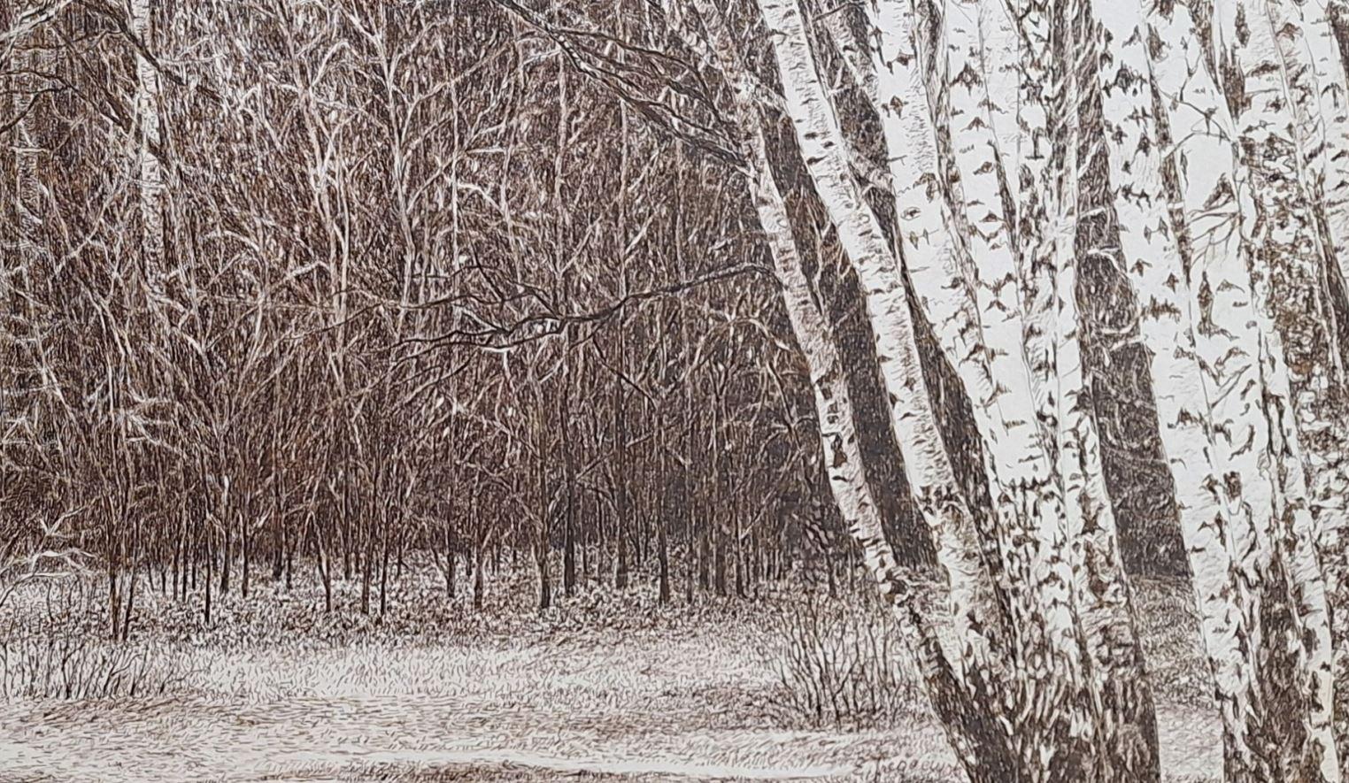 Bosque Kabacki. Grabado figurativo, Paisaje, Realista, Artista polaco en venta 2