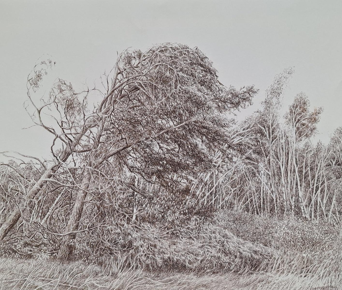 Pine trees. Figurative drawing, Landscape, Realistic, Polish artist