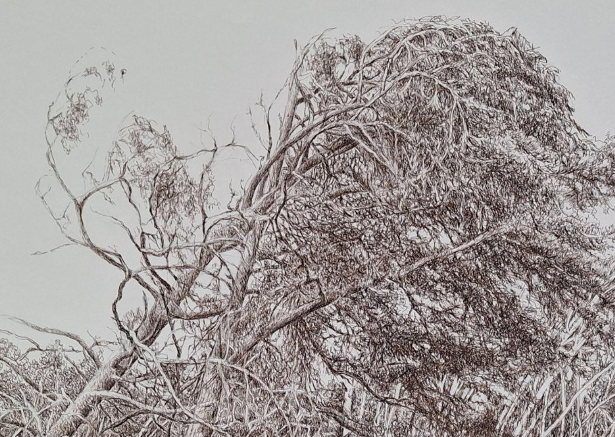 Les pins. Dessin figuratif, Paysage, Réaliste, Artiste polonais - Gris Landscape Art par Elżbieta Siegoczyńska