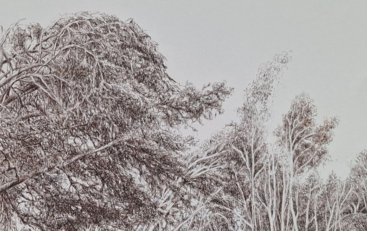 Dessin à l'encre contemporain de l'artiste polonaise Elżbieta Siegoczyńska.

ELŻBIETA SIEGOCZYŃSKA est une peintre polonaise qui a étudié la peinture à l'Academy Fine Paintings de Varsovie (de 1964 à 1970), sous la direction des professeurs