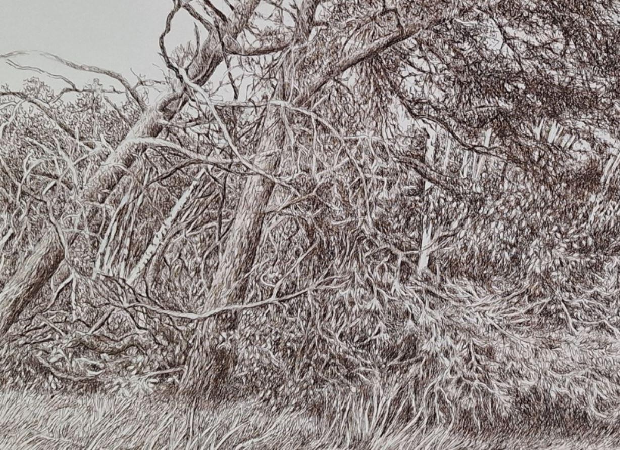 Les pins. Dessin figuratif, Paysage, Réaliste, Artiste polonais en vente 1