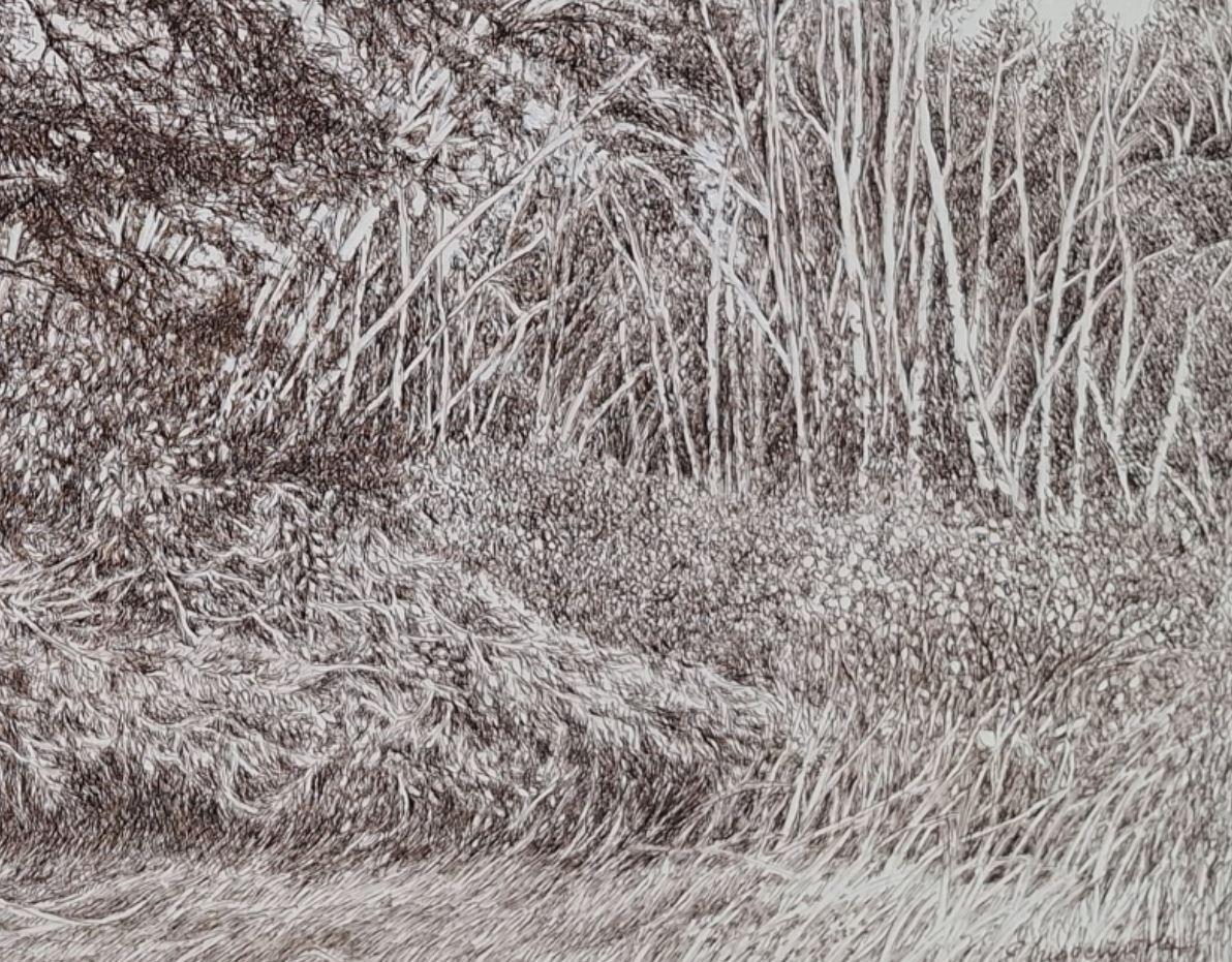 Les pins. Dessin figuratif, Paysage, Réaliste, Artiste polonais en vente 2