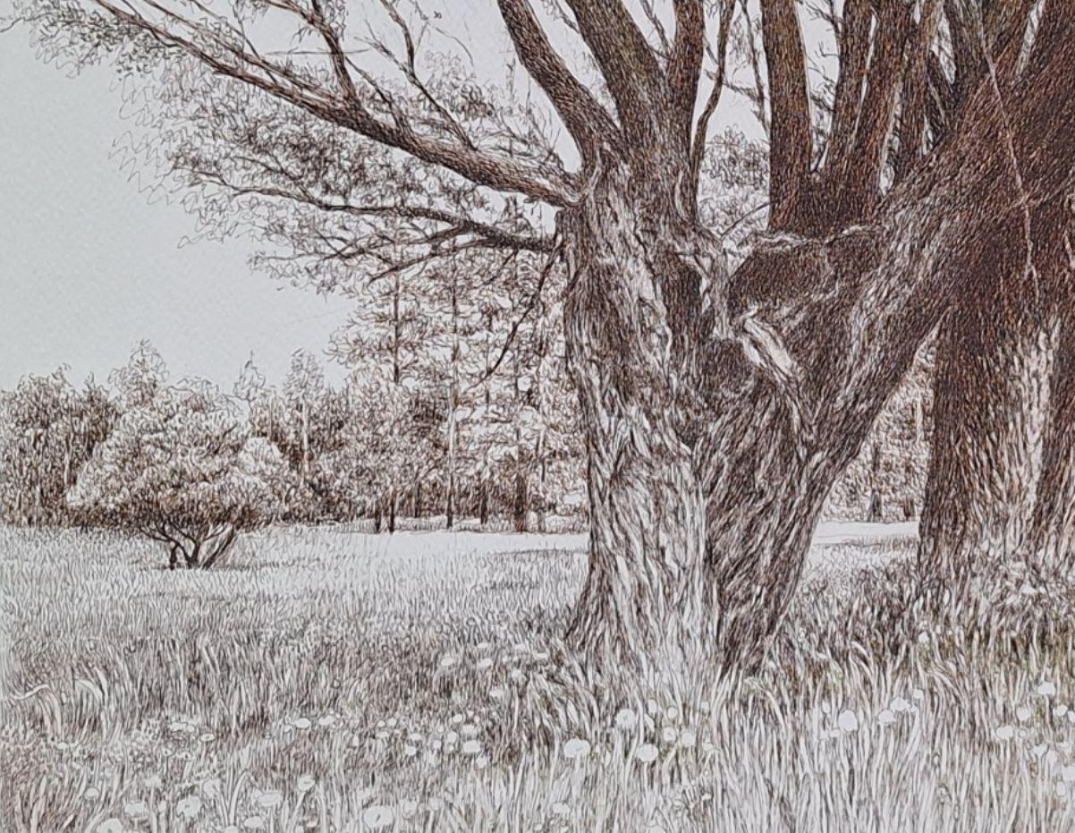 Weiden. Figurative Zeichnung, Landschaft, Realistisch, Polnischer Künstler (Grau), Landscape Art, von Elżbieta Siegoczyńska