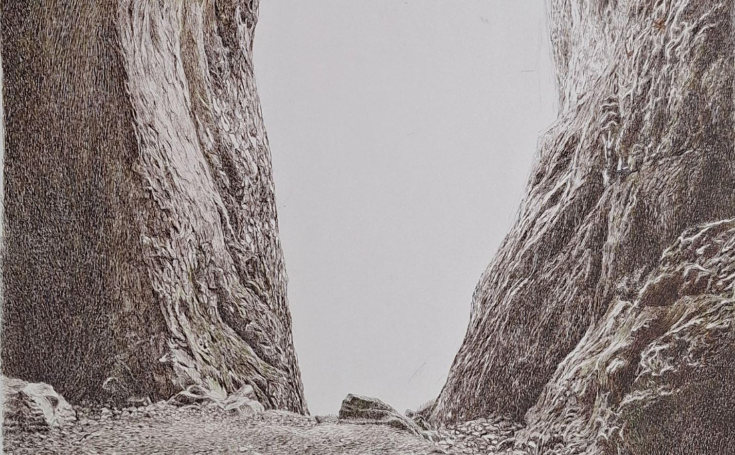 Schlucht. Figurative Zeichnung, Landschaft, Realistisch, Polnischer Künstler – Art von Elżbieta Siegoczyńska