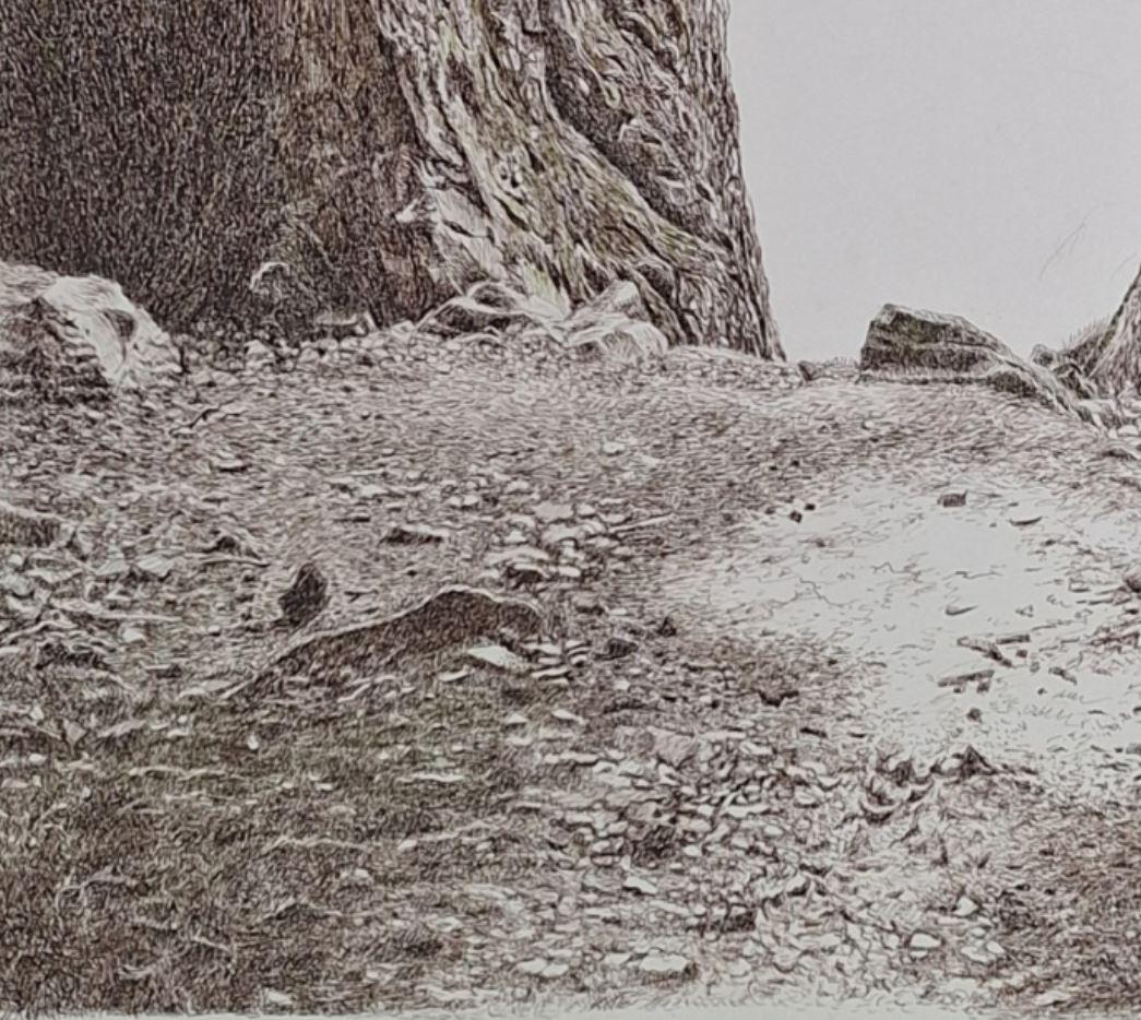 Schlucht. Figurative Zeichnung, Landschaft, Realistisch, Polnischer Künstler (Grau), Landscape Art, von Elżbieta Siegoczyńska