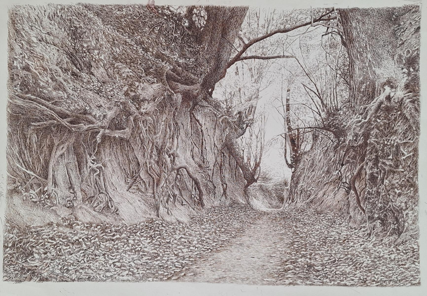 Elżbieta Siegoczyńska Landscape Art – Wąwóz Korzeniowy. Figurative Zeichnung, Landschaft, Realistisch, Polnischer Künstler