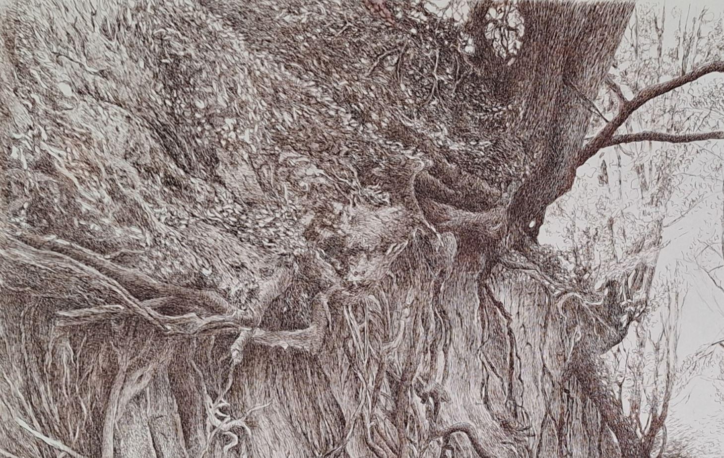 Wąwóz Korzeniowy. Figurative Zeichnung, Landschaft, Realistisch, Polnischer Künstler – Art von Elżbieta Siegoczyńska