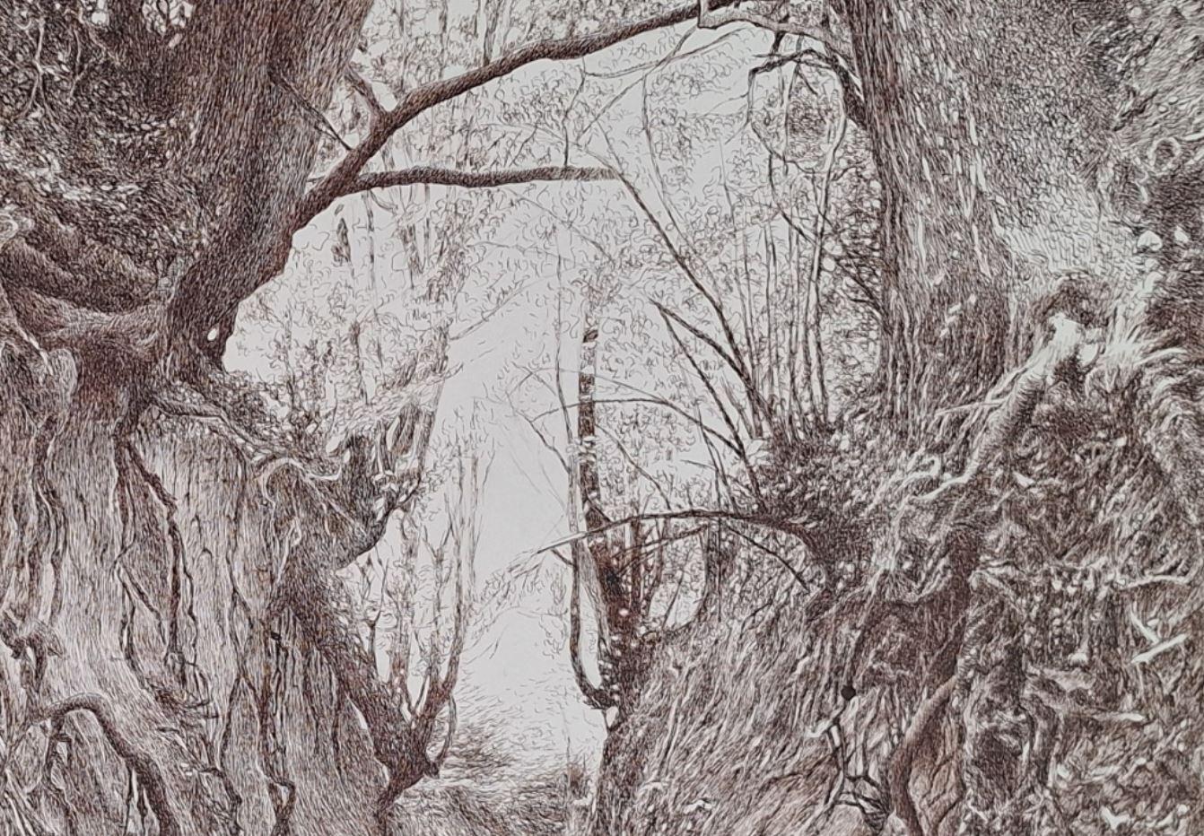 Wąwóz Korzeniowy. Figurative Zeichnung, Landschaft, Realistisch, Polnischer Künstler (Realismus), Art, von Elżbieta Siegoczyńska