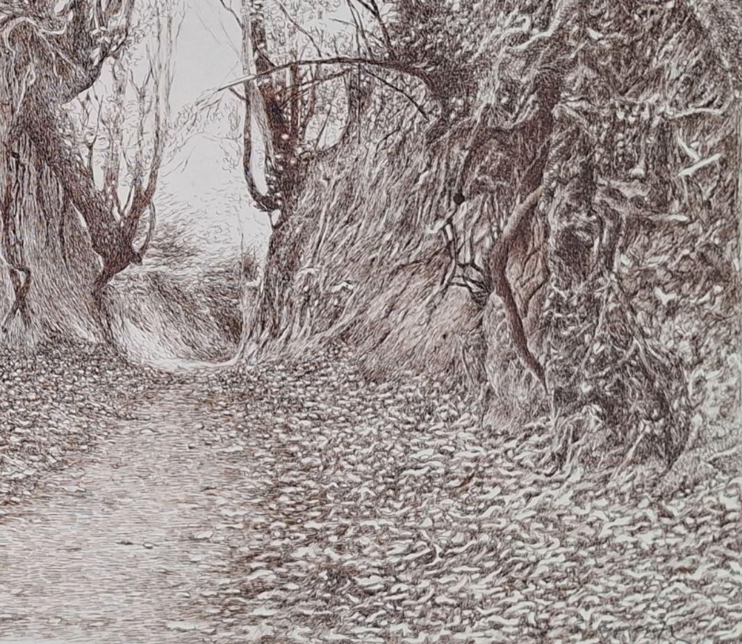 Zeitgenössische Tuschezeichnung der polnischen Künstlerin Elżbieta Siegoczyńska.

ELŻBIETA SIEGOCZYŃSKA ist eine polnische Malerin, die von 1964 bis 1970 an der Akademie der Schönen Künste in Warschau unter der Leitung der Professoren Aleksander