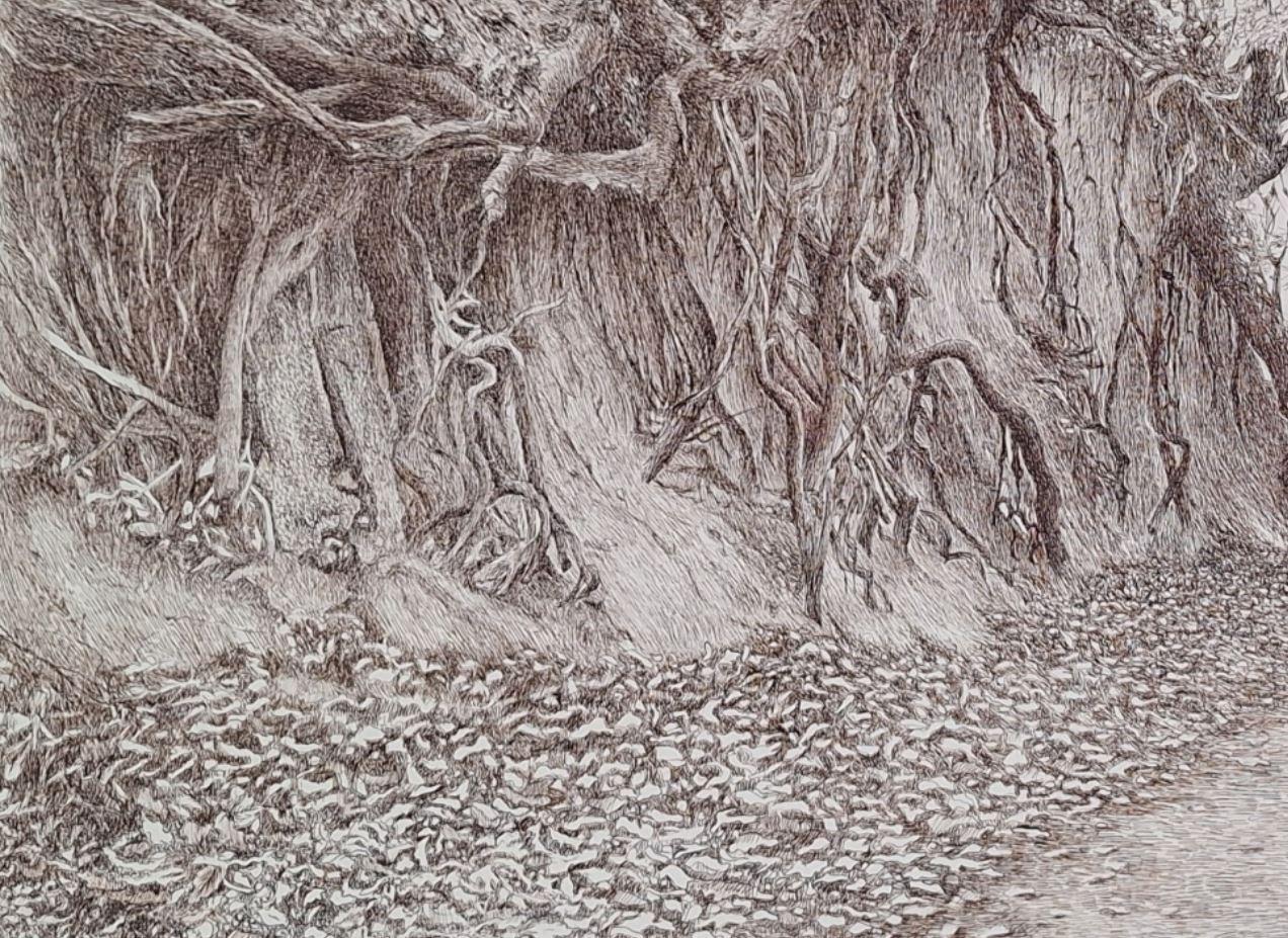 Wąwóz Korzeniowy. Figurative Zeichnung, Landschaft, Realistisch, Polnischer Künstler (Grau), Landscape Art, von Elżbieta Siegoczyńska