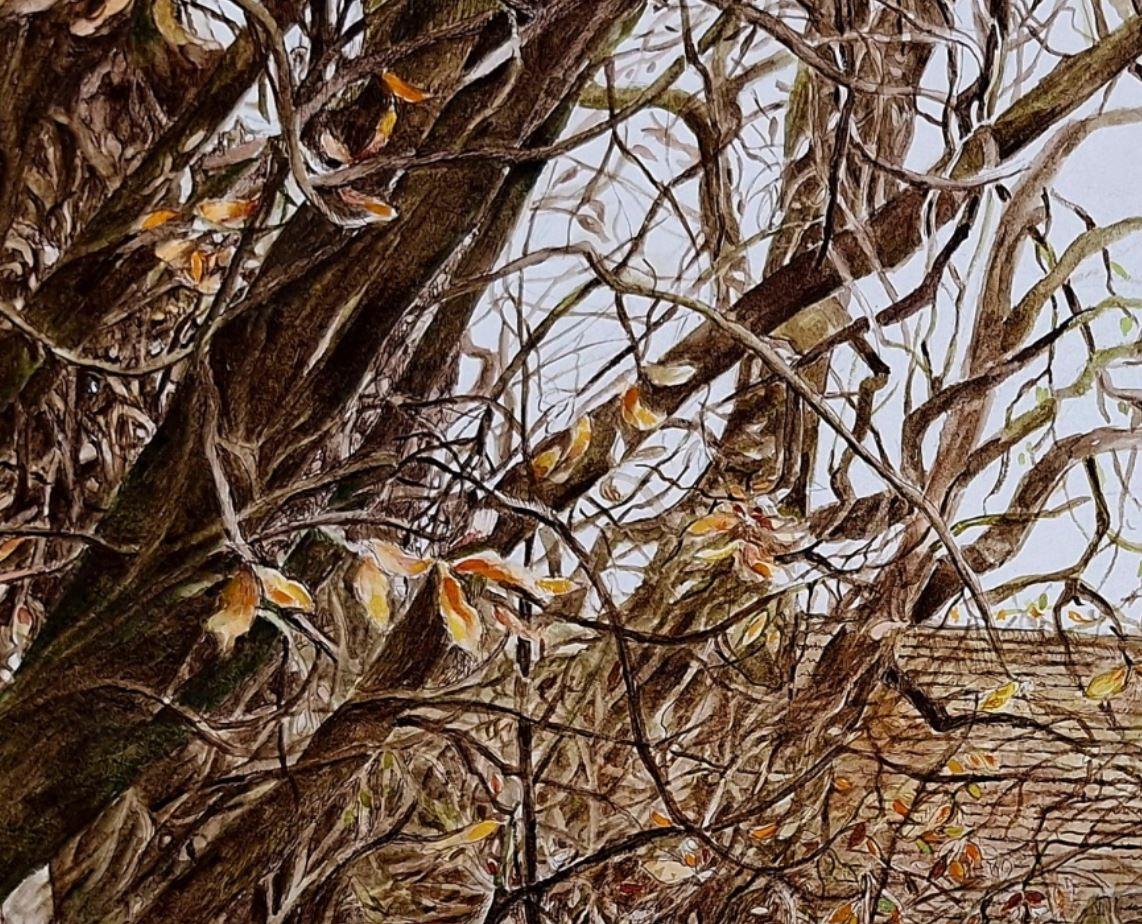 Dessin à l'encre contemporain de l'artiste polonaise Elżbieta Siegoczyńska.

ELŻBIETA SIEGOCZYŃSKA est une peintre polonaise qui a étudié la peinture à l'Academy Fine Paintings de Varsovie (de 1964 à 1970), sous la direction des professeurs