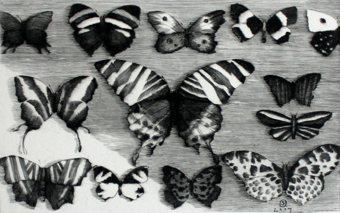 Krzysztof Skorczewski Figurative Print - Collection - XXI Century Figurative Copperplate Print Butterflies Black & White