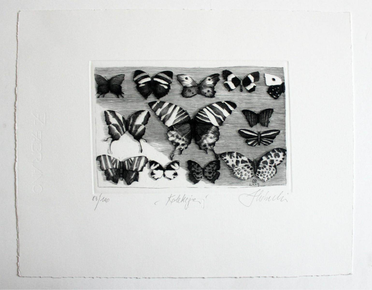 Collection - XXI Century Figurative Copperplate Print Butterflies Black & White - Gray Figurative Print by Krzysztof Skorczewski