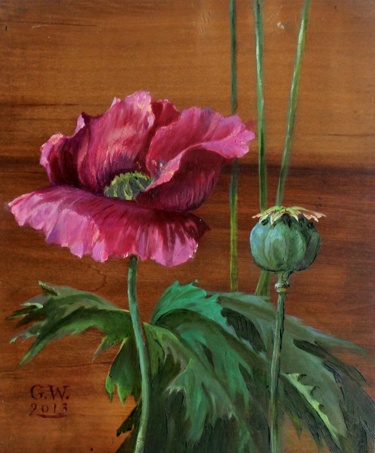 Pink poppy - XXI Century, Contemporary Figurative Floral Oil & Acrylic Painting