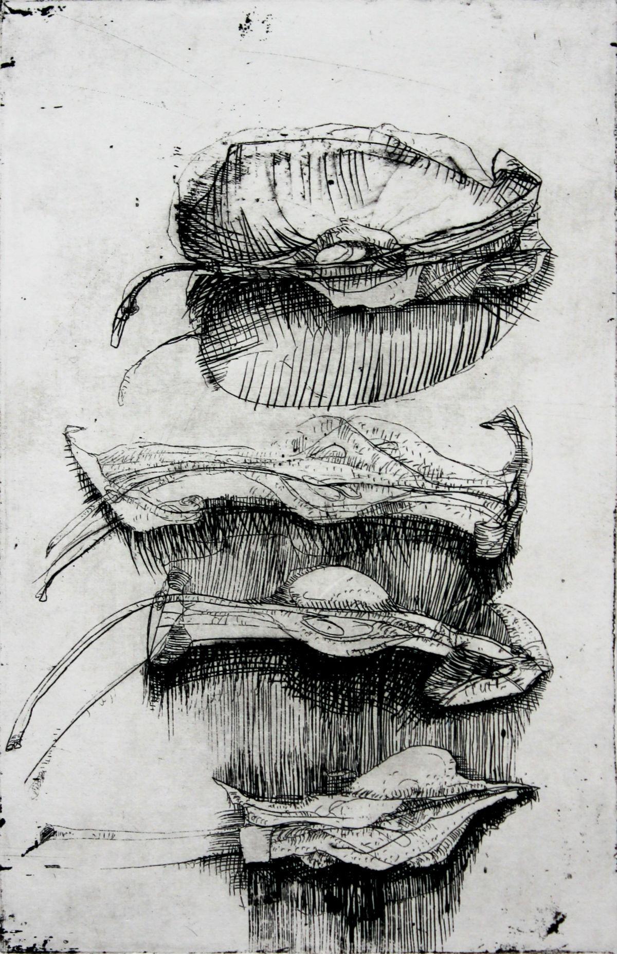 4 cores - XXIe siècle, gravure à l'eau-forte contemporaine, figurative, nature morte