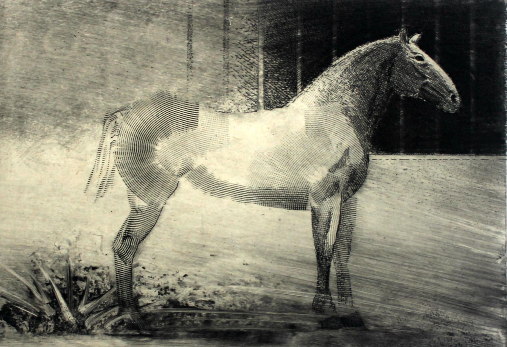 Pawel Zablocki Nude Print - Lonely - XXI Century, Contemporary Figurative Etching Print, Animal, Horse
