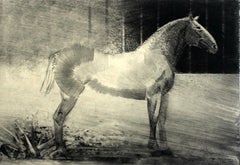 Lonely - XXI Century, Contemporary Figurative Etching Print, Animal, Horse