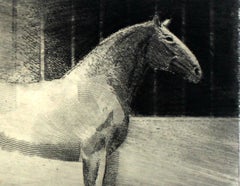 Solitario - XXI secolo, Stampa acquaforte figurativa contemporanea, Animale, Cavallo