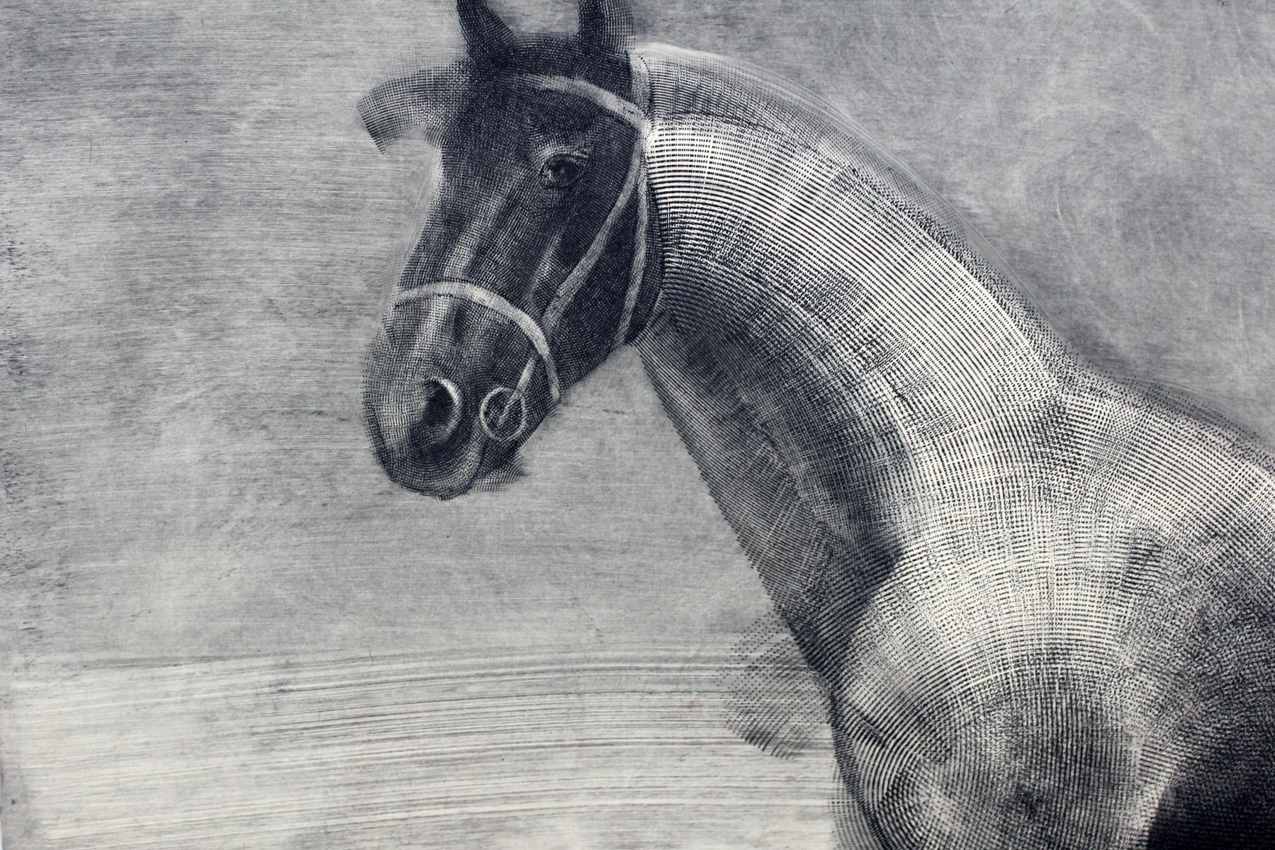 Horse from Casa Lorna - Contemporary Figurative Lithograph Print, Animal 1